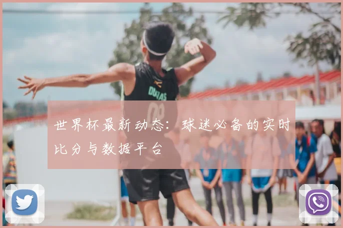 世界杯最新动态：球迷必备的实时比分与数据平台