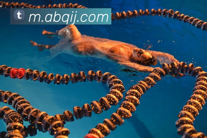 App界面